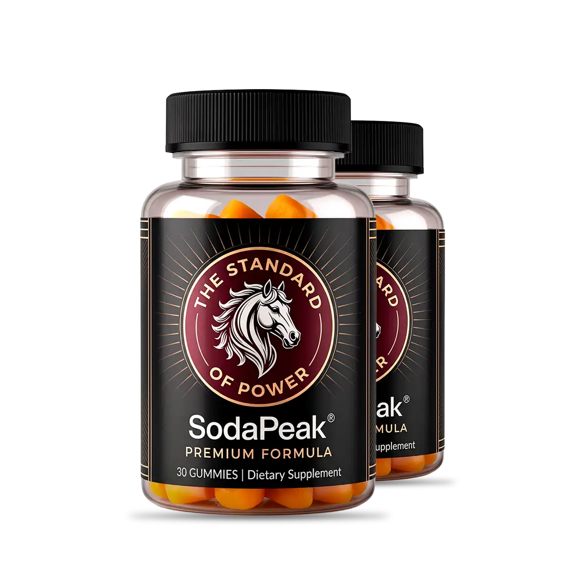 SodaPeak two bottle pack